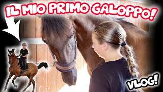 ⭐️ VLOG  IL MIO PRIMO GALOPPO CON IL MIO NUOVO BIMBO ❤️❤️❤️ VI PRESENTO EXQUICITO [upl. by Miah]