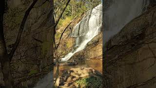 Cachoeira surge do meio do NADA turismo buenobrandao viagem [upl. by Minda]