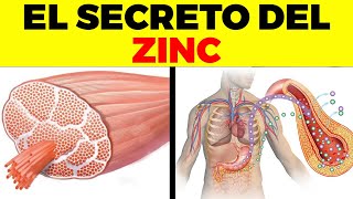 Esto no sabías del ZINC  Beneficios Y Usos Del Zinc Para Tu Salud Y Belleza [upl. by Neukam45]