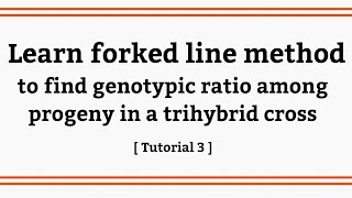 Forked line method to find genotypic ratios in a trihybrid cross Tutorial 3 NEET short cut Tricks [upl. by Urbana]