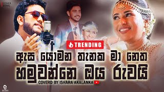 Asa yomana thanaka ma netha hamuwanne oba ruwai I ඇස යොමන තැනක I Coverd by Ishara Akalanka [upl. by Eulalee]