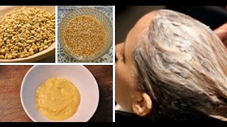 DIY Fenugreek Seeds Hair Mask For ThinDry and Damaged Hair  CHATURYABLOGGER [upl. by Patrizio]