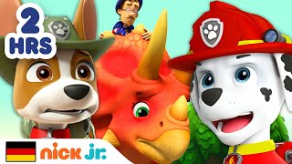 PAW Patrol  Abenteuer mit Tieren – 2 Stunden lang  Nick Jr Deutschland [upl. by Letnoj811]