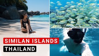 Similan Islands Tour Ausflug in das Inselparadies Thailands  Lohnt es sich [upl. by Rehctaht]