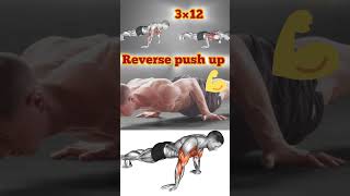 Reverse push up ll body building workout ll exercisell youtubeshortsyoutube youtuberbodybuilding [upl. by Assirek475]