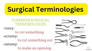 Common Surgical Terms  Medical Terminology  Common Medical Terms [upl. by Mcdowell]