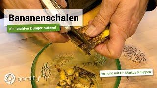 Bananenschalen als leichten Dünger nutzen  gardify Tipps [upl. by Analla]