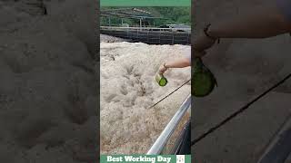 Best working day 1699 Wastewater treatment process with defoamer [upl. by Llevart]