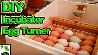 Home Made Poultry Hen Duck Incubator with Automatic Egg Turner [upl. by Elbon]