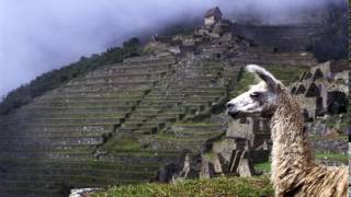 Andina Inca Music from Ecuador [upl. by Nicram]