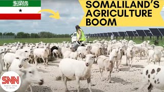 Somaliland Oil and Agriculture expansion projects plans for 2023 [upl. by Nalniuq621]