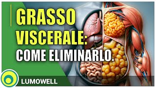 Grasso Viscerale Come Eliminarlo [upl. by Lira]