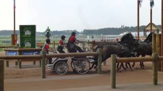 Ulrich Werner SUI CH M A4 Alltech FEI WEG Caen Normandy FRA 2014 Marathon O 1 06 09 2014 [upl. by Barkley198]