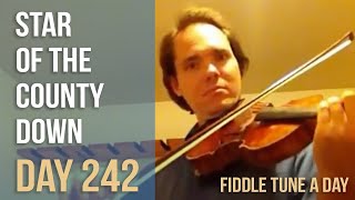 Star of the County Down  Fiddle Tune a Day  Day 242 [upl. by Vitus]