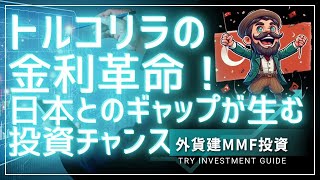 【トルコリラの金利革命】日本とのギャップが生む投資チャンス [upl. by Leyla]