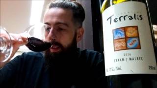 Terralis Syrah Malbec 2016 Vinho argentino abaixo dos R 3000 [upl. by Goulder]