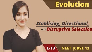 Evolution 13  Stablising  Directional  Disruptive  NEET  CBSE boards  Class 12  Suman Yadav [upl. by Einomrah]