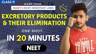 Excretory Products and their Elimination Class 11  Biology  For NEET  Full Revision In 20 Minutes [upl. by Denney]