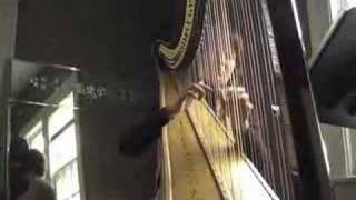 Lorraine Alberts Christmas Holiday Harp Music  Mlive [upl. by Anaizit]