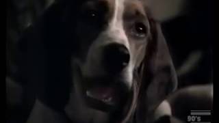 Petsmart VISA singing pets commercial 2002 [upl. by Aikenahs]