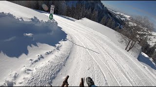 Rodelbahn Allgäu  Rodeln vom Hochgrat im Allgäu ins Tal [upl. by Older733]