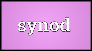 Synod Meaning [upl. by Nywles629]