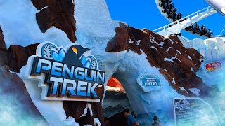 NEW Penguin Trek Roller Coaster 🐧 Back Seat and Front Row POV at SeaWorld Orlando [upl. by Buckie]