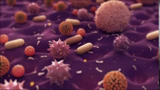 Bacteria Animation [upl. by Irina979]