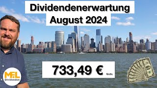 73349 € Bruttodividenden erwarte ich im August Aktiendepot quotNo risk no funquot [upl. by Viquelia]