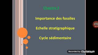 Fossiles et fossilisation 1AC [upl. by Yarvis]