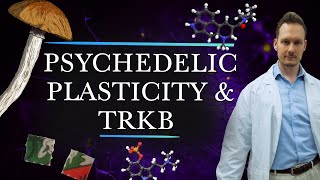 Psychedelics Promote Brain Plasticity by Binding to TrkB receptors [upl. by Levin]