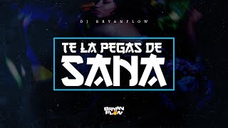 DJ Bryanflow  TE LA PEGAS DE SANA Ft Nene Blass [upl. by Wandy]