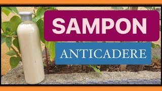 SAMPON NATURAL ANTICADERE FRANEAZA CADEREA PARULUI [upl. by Hooke]