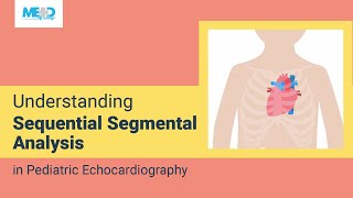 Understanding Sequential Segmental Analysis in Pediatric Echocardiography [upl. by Orten646]