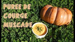 🍂 Recette dAutomne 🍂 Purée de Courge Muscade au Parmesan [upl. by Llyrpa]