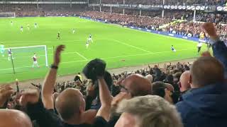 Demarai Gray Goal  Everton 31 Burnley ⚽️ [upl. by Waal404]