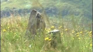 Graves Of Displaced Crofters With Music On History Visit To The Highlands Of Scotland [upl. by Yrnehnhoj298]