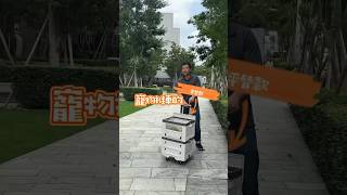 寵物推車平替款？ 收納 推車 五金工具 購物 戶外 貓 狗狗 寵物 [upl. by Adekahs]