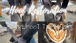 HOOF RESTORATION [upl. by Demona]