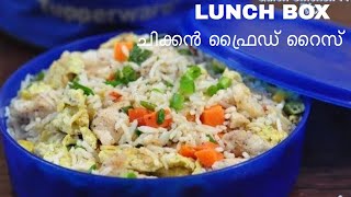 Lunch Box Chicken Fried Rice  LUNCHBOX ചിക്കൻ ഫ്രൈഡ് റൈസ് Recipes With Shana  Malayalam Ep 85 [upl. by Amalie68]