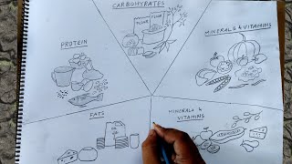 how to draw sources of carbohydrates  proteins and fats [upl. by Engelhart]