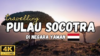 Travelling Ke Socotra Pulau Paling Misterius Di Bumi Terpencil amp Penuh Keanehan [upl. by Sibilla157]