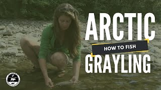 How to Fish for Arctic Grayling [upl. by Sivi783]