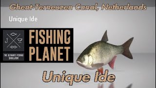 Unique Ide  GhentTerneuzen Canal Netherlands  Fishing Planet Guide [upl. by Egiarc]