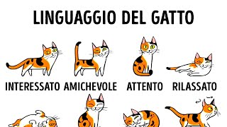 Come Capire Meglio il Tuo Gatto [upl. by Ozzie740]