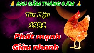 CHẤN ĐỘNG SỰ THẬT TÂN DẬU 1981 THỜI ĐIỂM VÀNG PHẤT MẠNH TỪ SAU 15 RẰM TIỀN VỀ ẦM ẦM GIÀU CỰC NHANH [upl. by Sackey51]