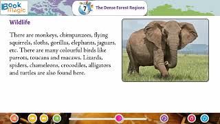 Ch 7  Book Magic  SST  Class 5  The Dense Forest Regions  For children [upl. by Vish792]