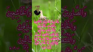 Innal muslimina wal muslimat part 2سورہ الاحزاب Beautiful recitation of Quran [upl. by Boyce527]