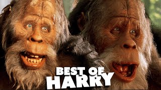 Harry And The Hendersons S01E01 The Arrival [upl. by Hutchison]