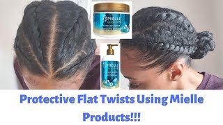 Flat Twists  Using Mielle Moisture RX Hawaiian Ginger [upl. by Earle]